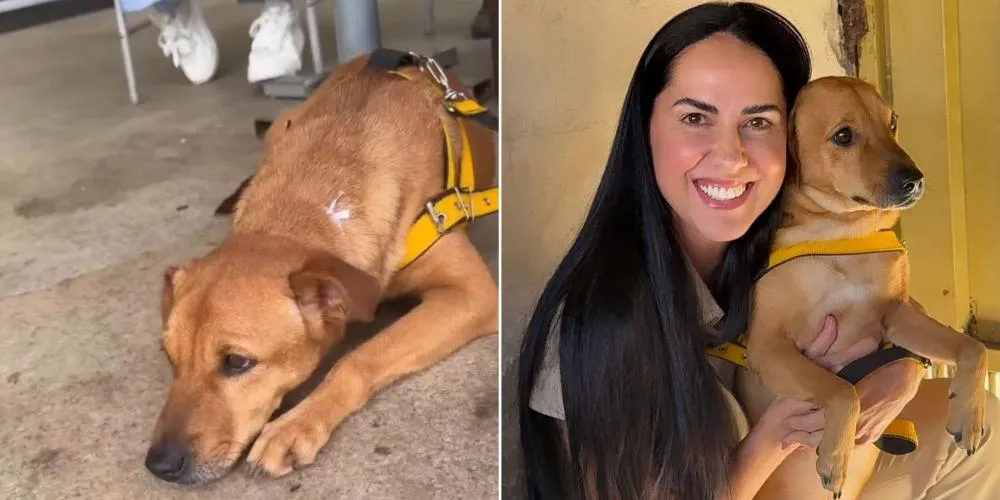 Graciele Lacerda adota cachorro que foi rejeitado em quatro feiras de adoção em Goiânia